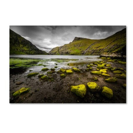 Trademark Fine Art Philippe Sainte-Laudy 'Something's Calling' Canvas Art, 16x24 PSL1062-C1624GG